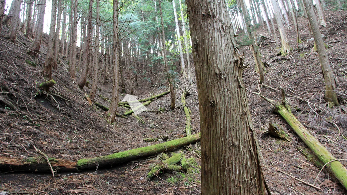 尾根へ突き上げる沢