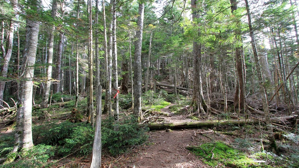 国師のタルからの登り返し