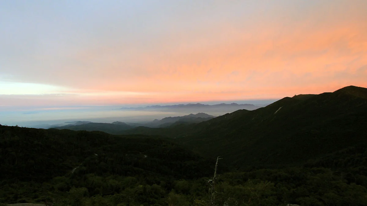 夢の庭園からの朝焼け