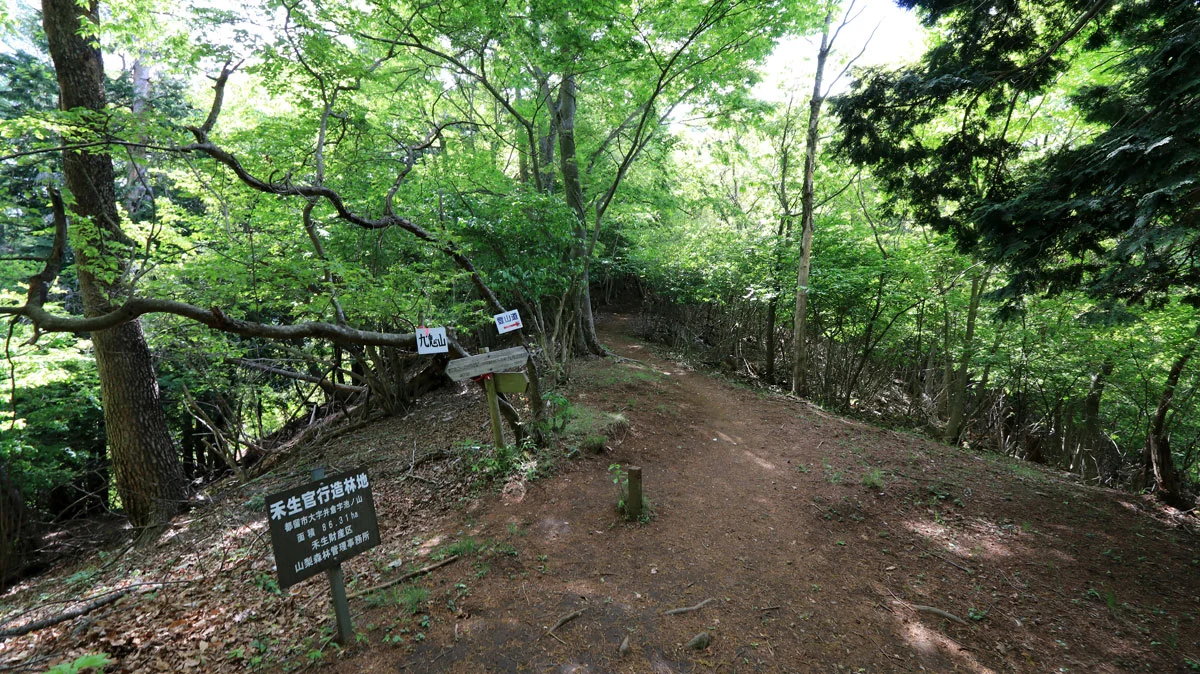 池の山・愛宕神社コース分岐