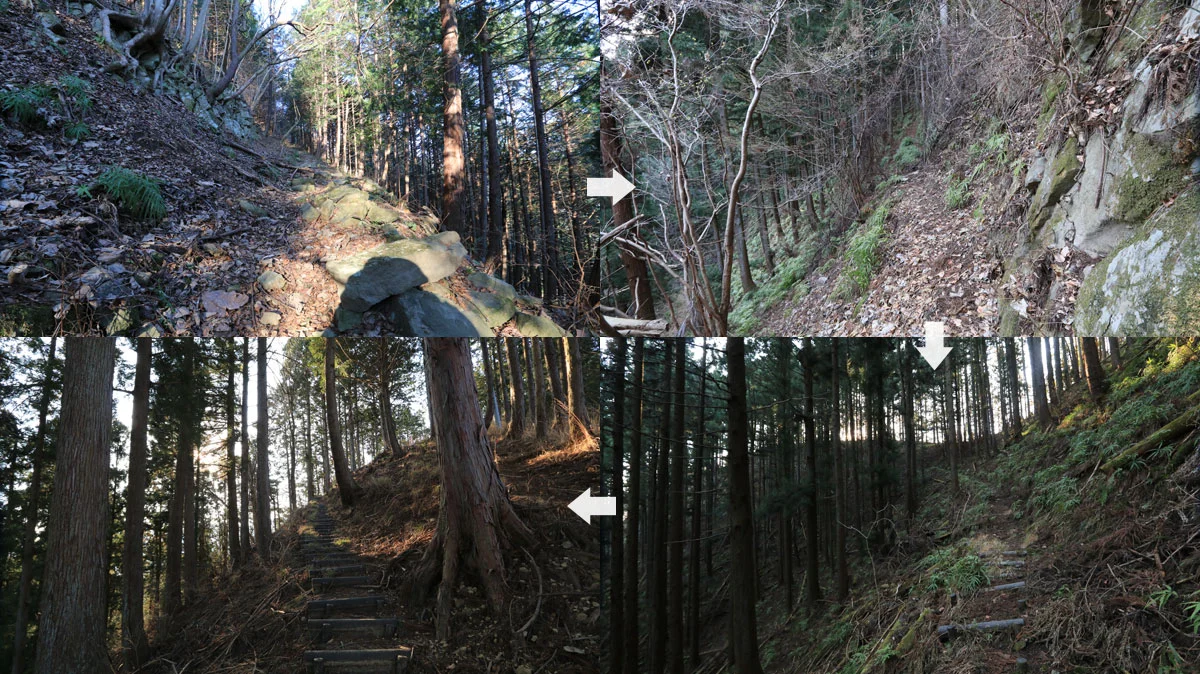 城山出発直後の登山道