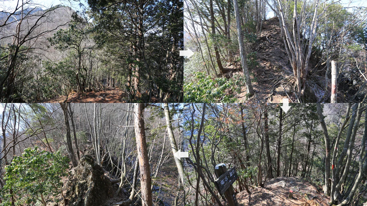 ヤセ尾根の登山道