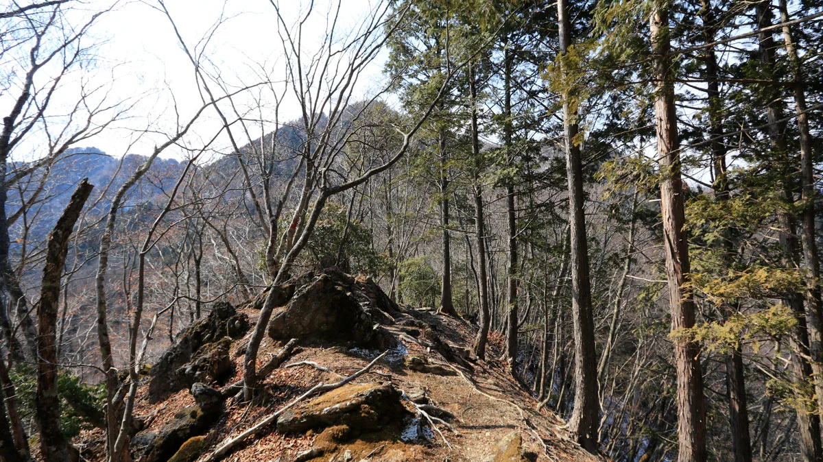 正面奥に熊倉山の山頂