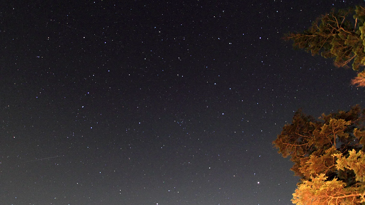 雲取山からの星空