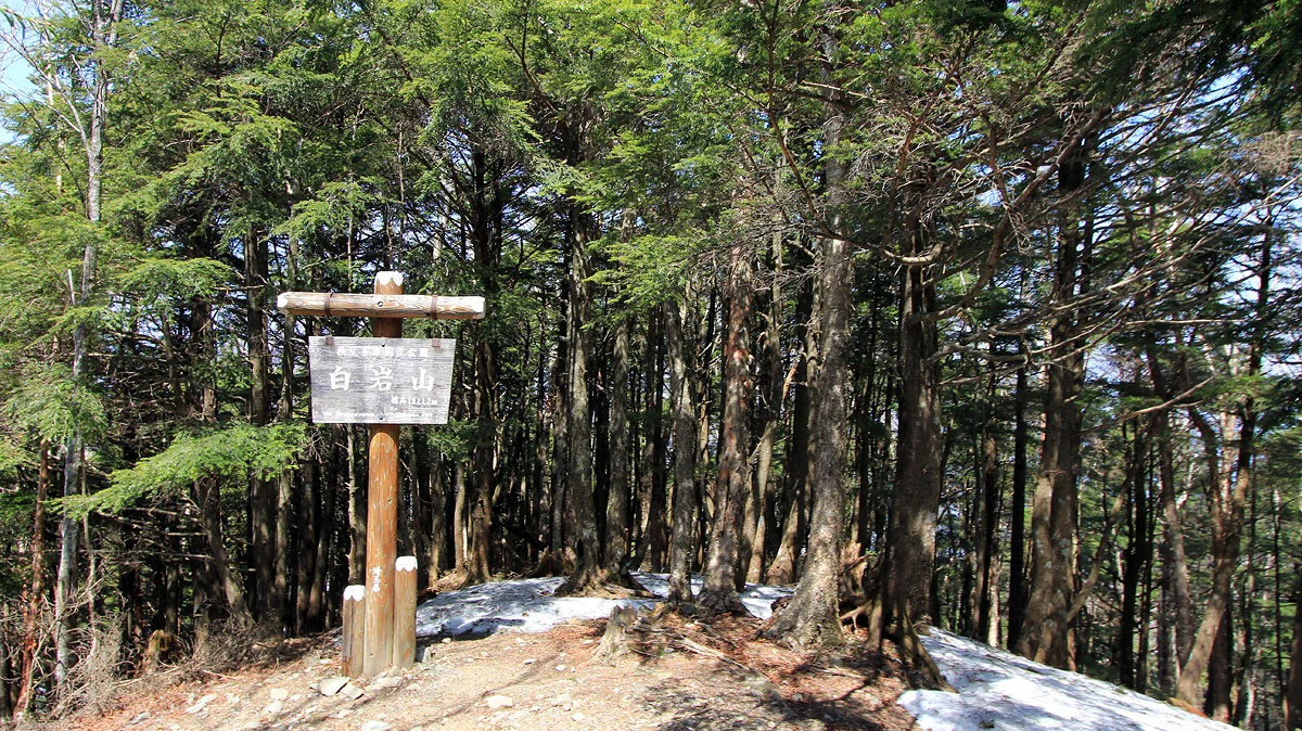 白岩山の山頂