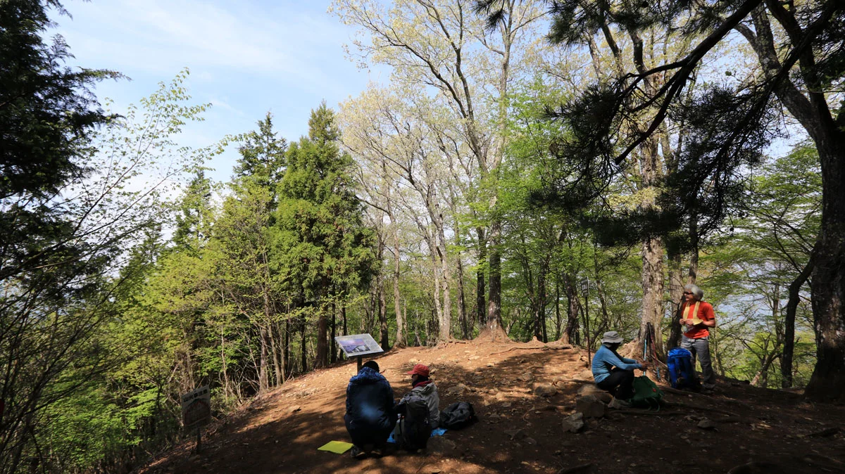 高畑山の山頂風景