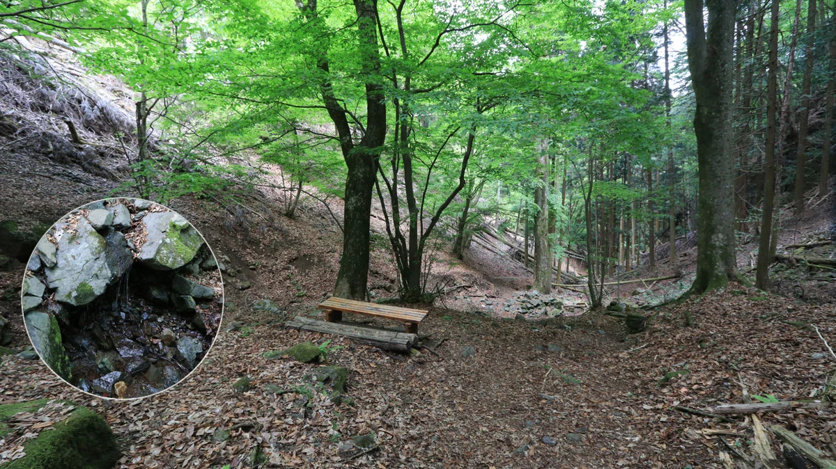 月夜根沢の水場