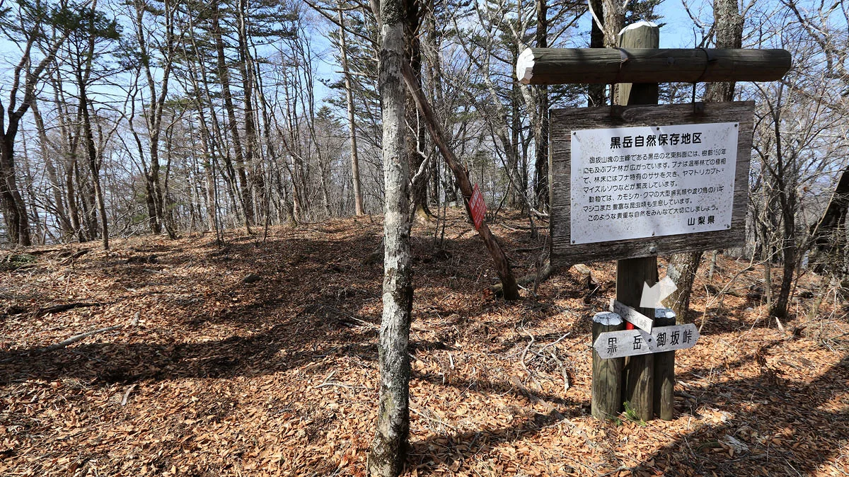 山頂からドンベエ峠への道