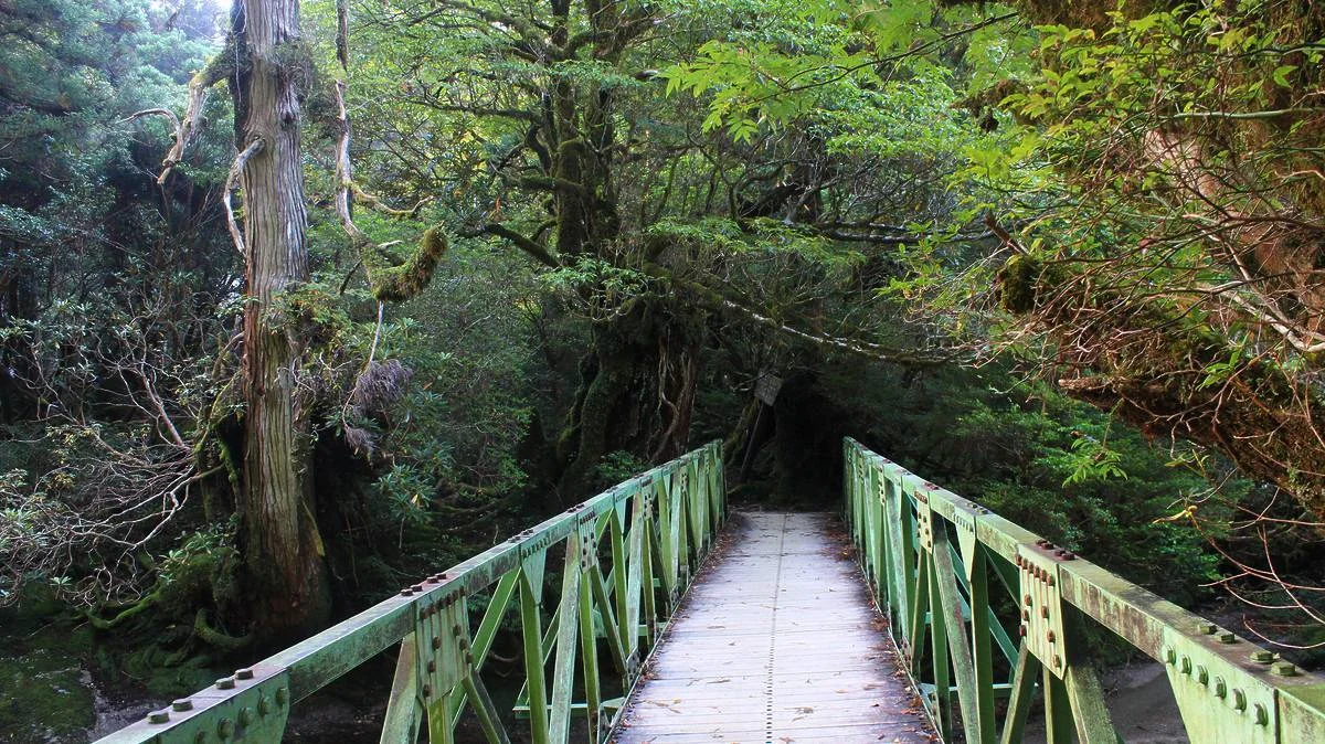 淀川小屋にかかる橋