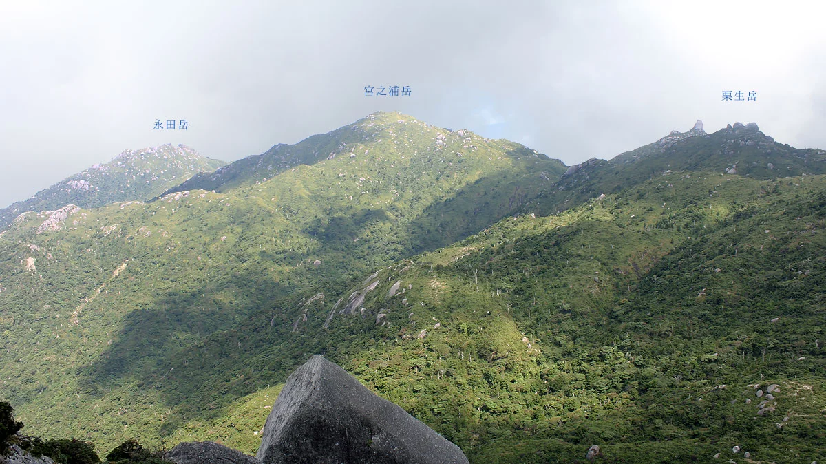 黒味岳山頂から見える山々