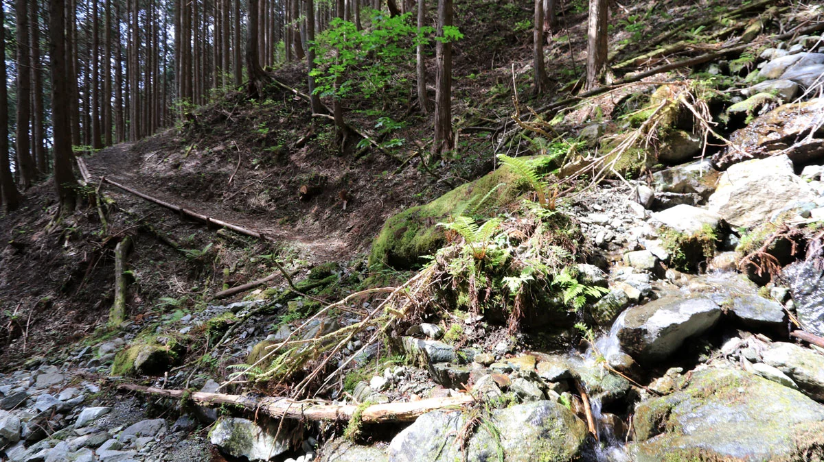 水の流れる沢を横切る。