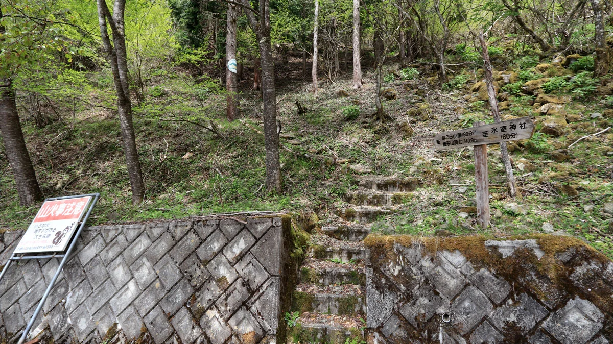 林道から登山道に戻る道の入口