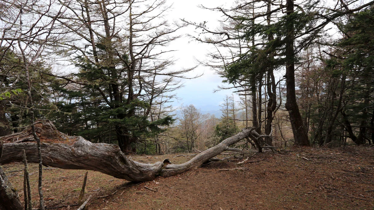 櫛形山山頂からの展望