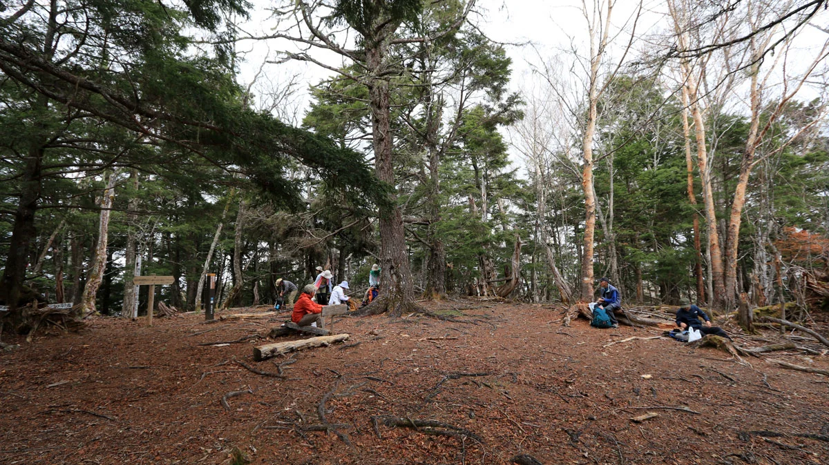 櫛形山の山頂スペース