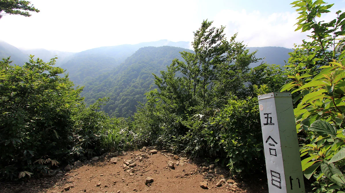 巻機山五合目に到着