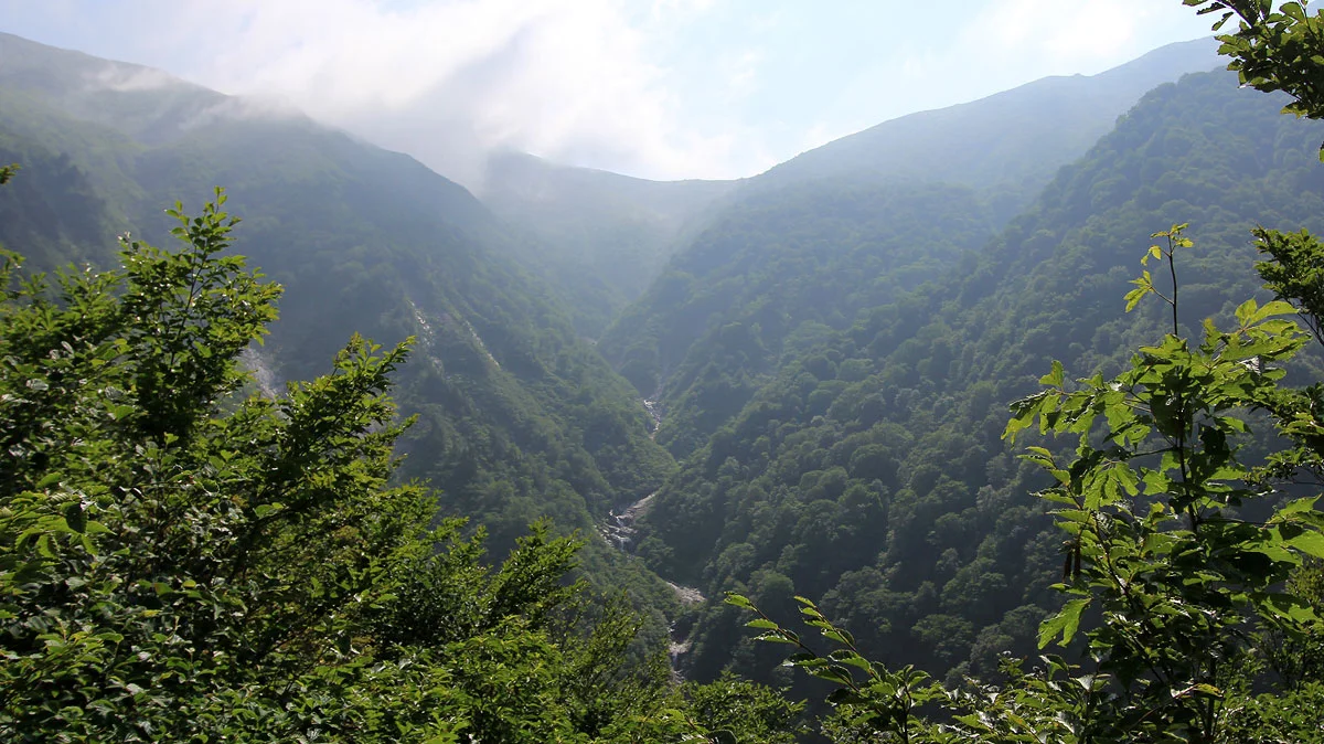 五合目から見える沢