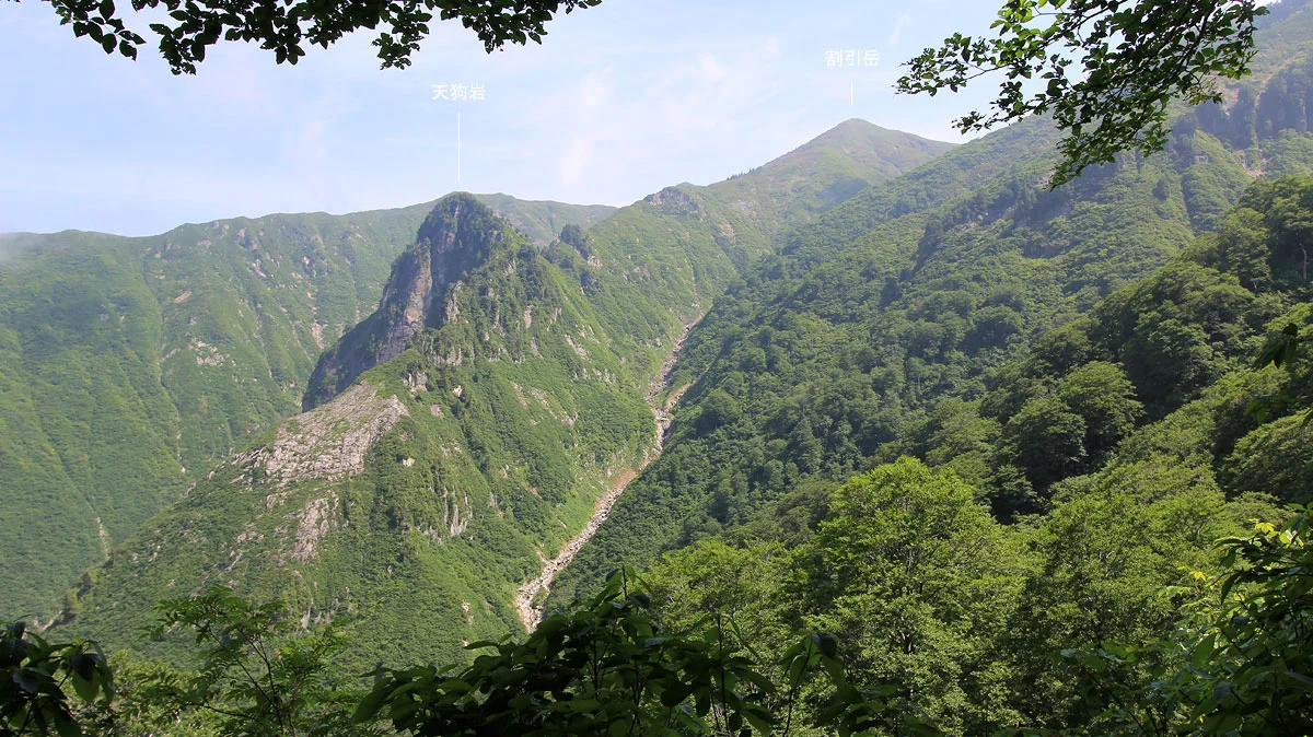 遠くにヌクビ沢と割引岳
