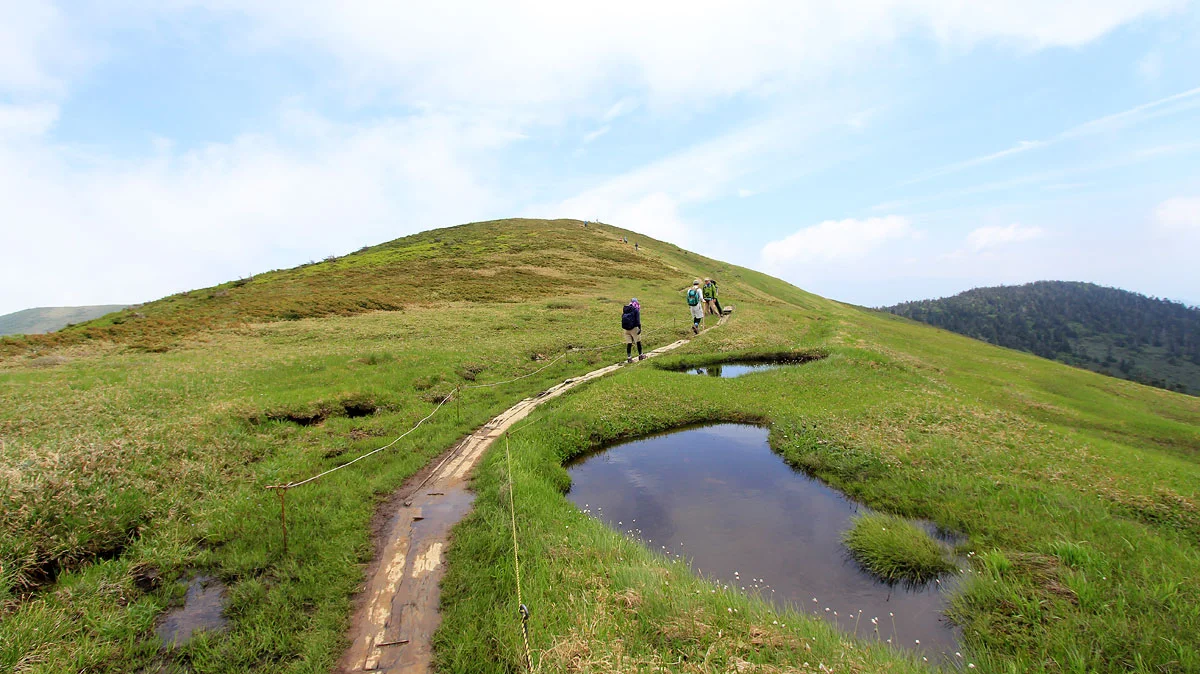 牛ヶ岳への登山道。