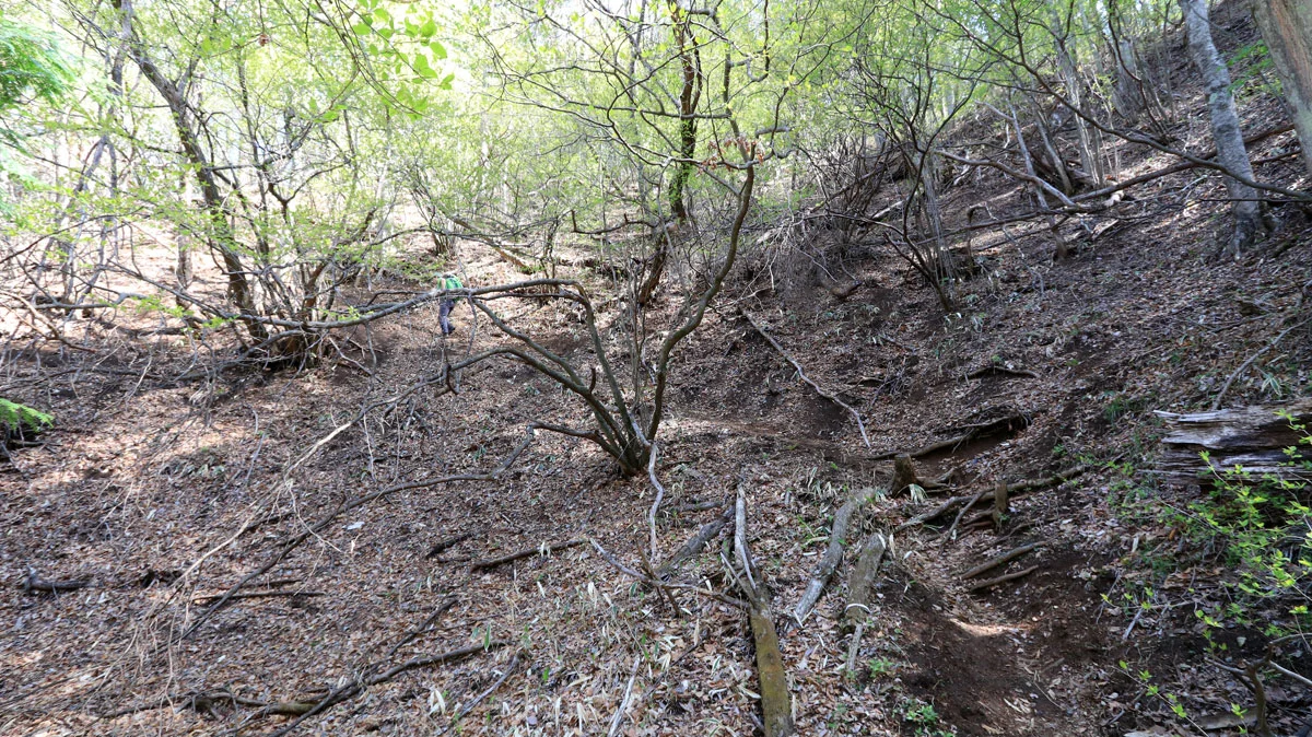 スタート直後の急斜面