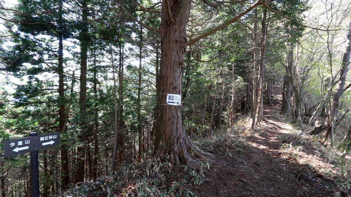 緩やかな傾斜の登山道