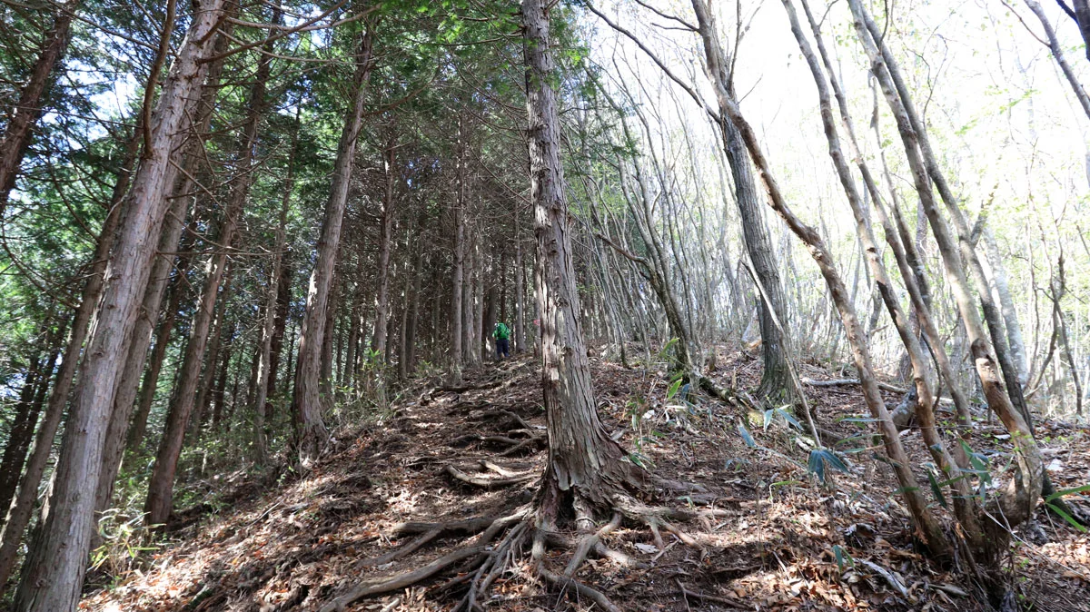 1,217.2mピークへ向けた急坂