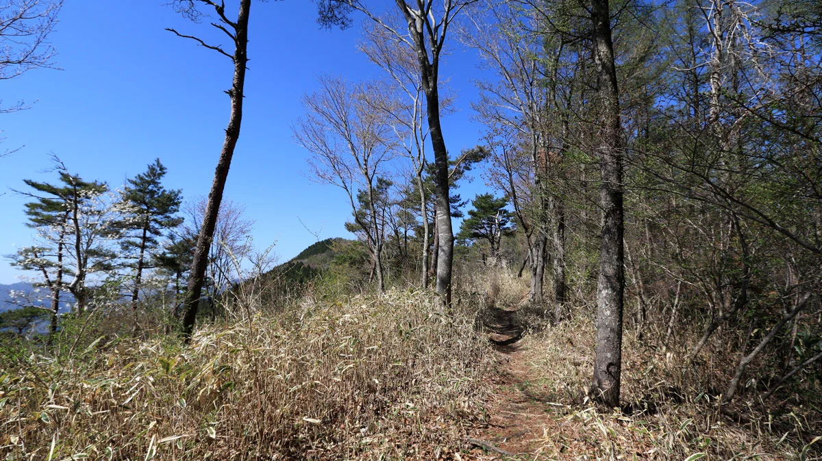 左側が開けた開放感のある登山道