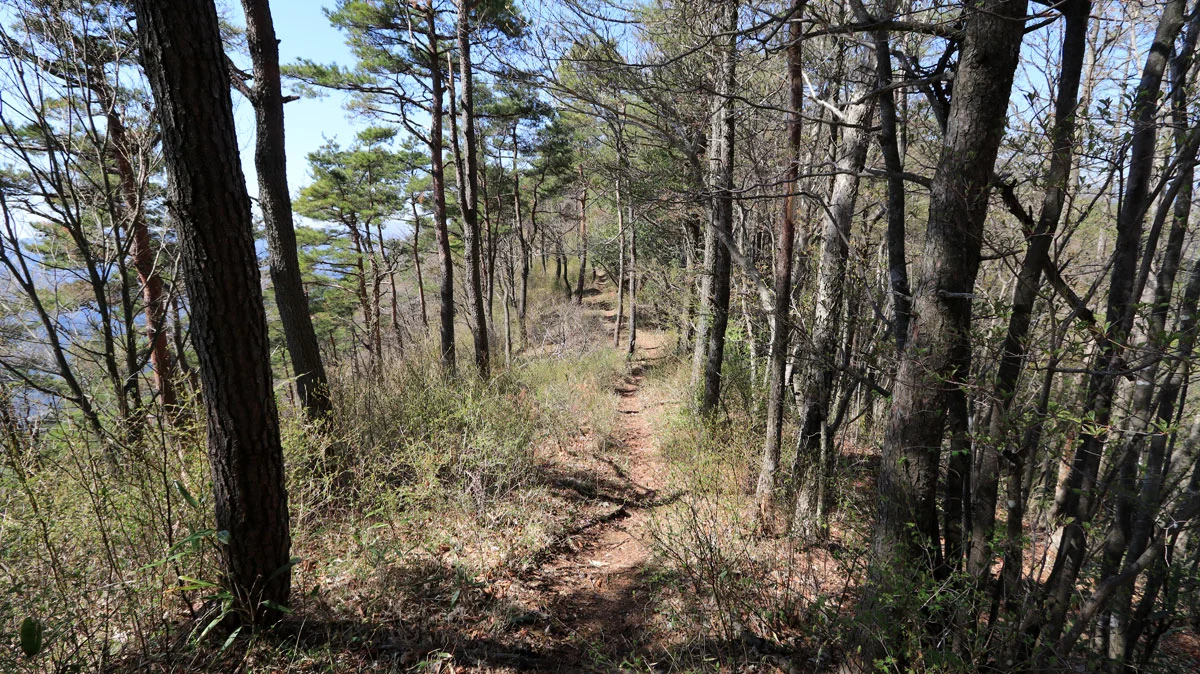 開放感のある登山道