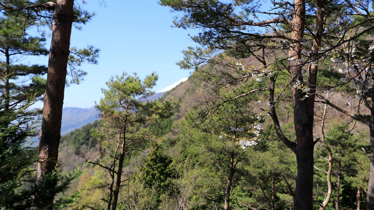 チラッと顔を覗かせる富士山