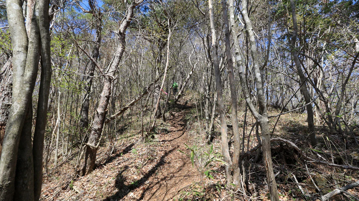 岩下ノ丸への上り道