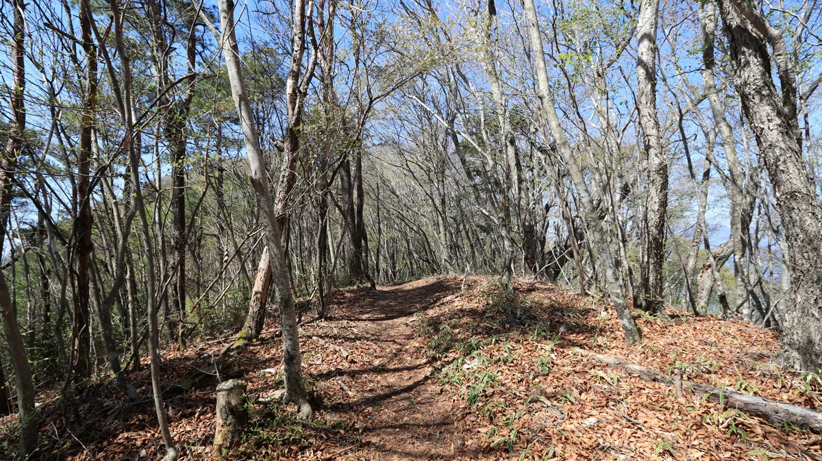 岩下ノ丸のニセピーク