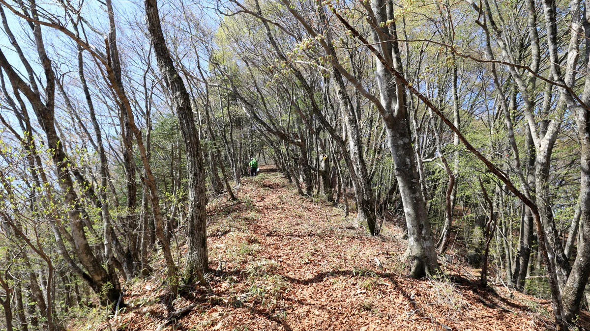 岩下ノ丸直下の上り
