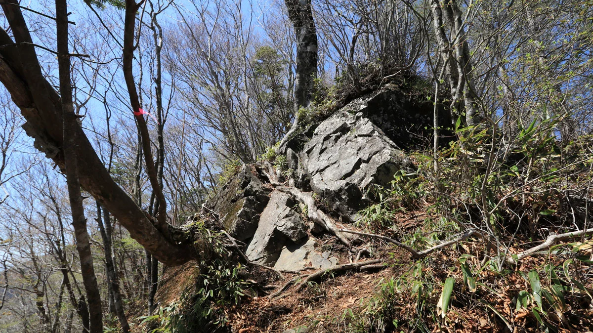 白井平分岐手前の露岩