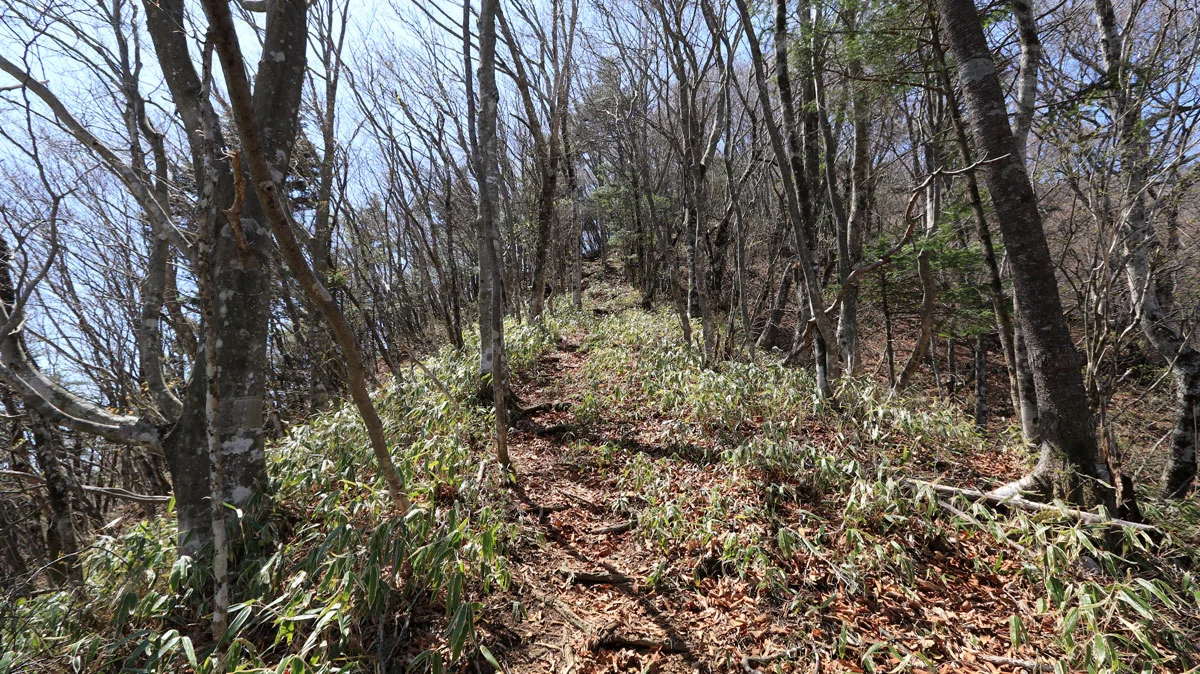 急登の御正体山登山道