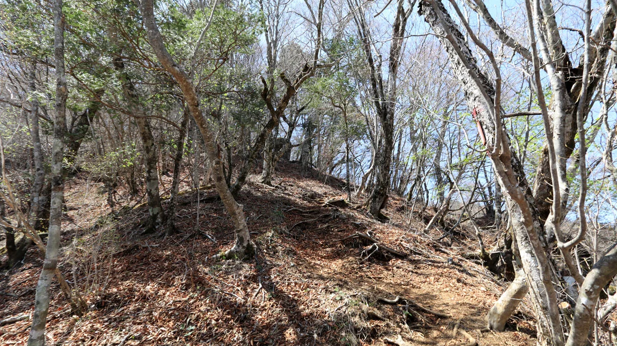 急登の上に大岩