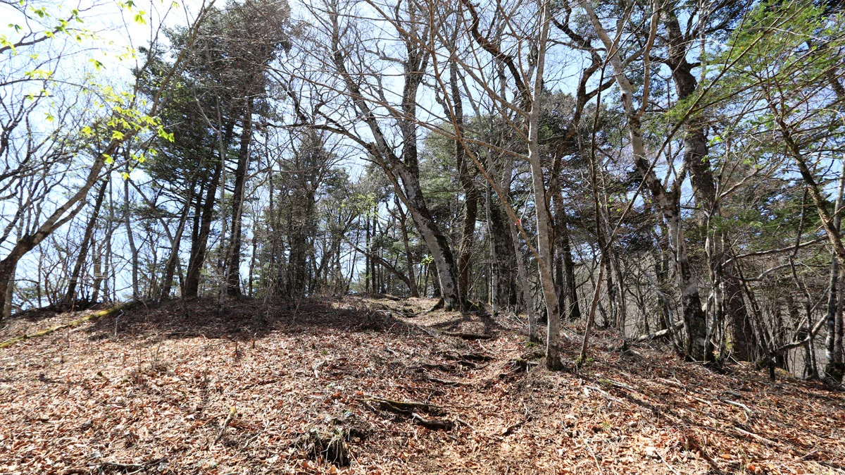 御正体山頂直前のニセピーク