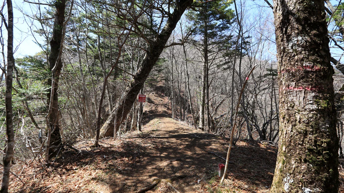 御正体山登山道