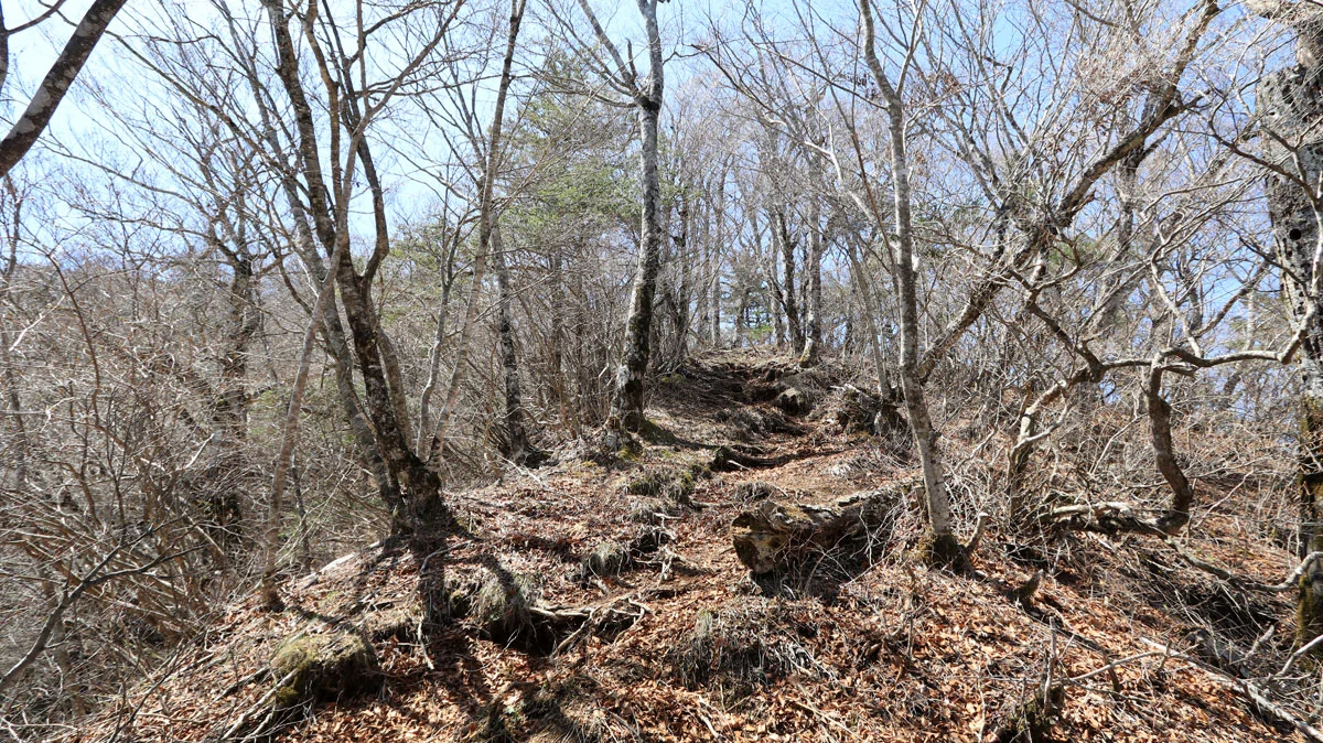 山頂直前の御正体山登山道