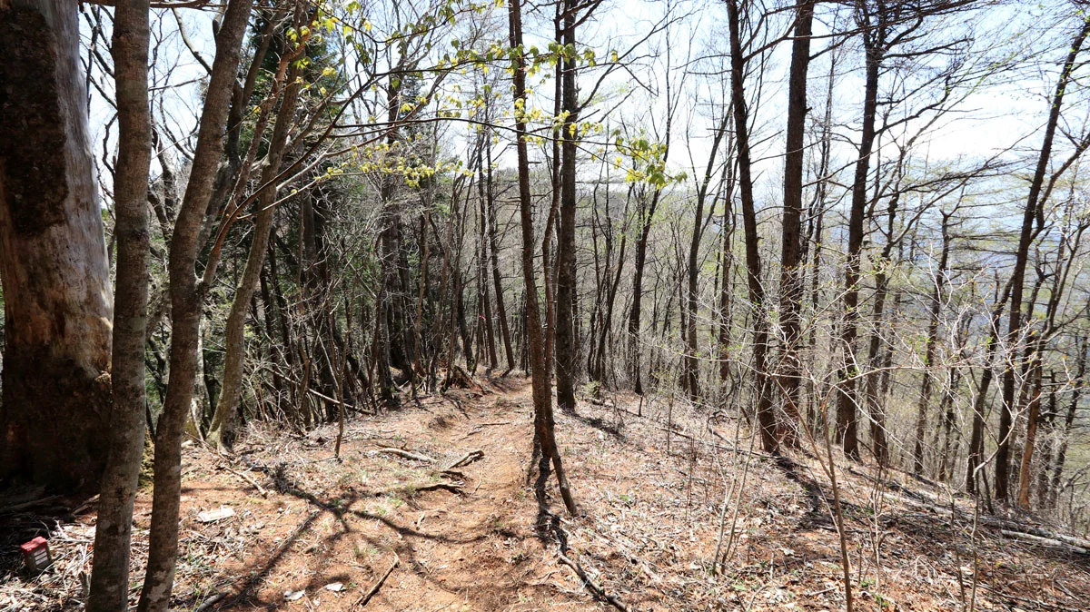 御正体山登山道