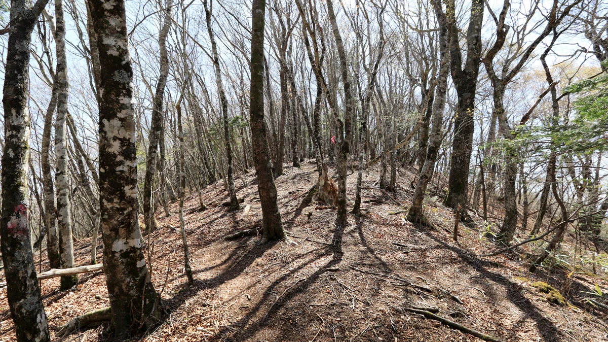 中ノ岳手前の上り道