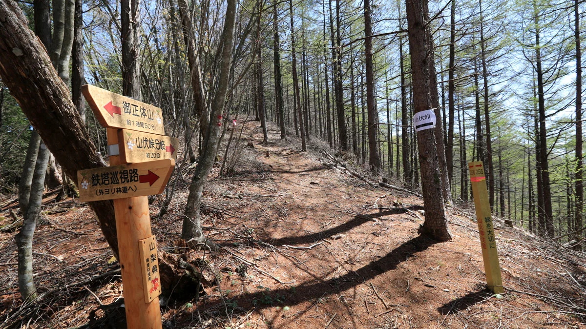 鉄塔巡視路への分岐