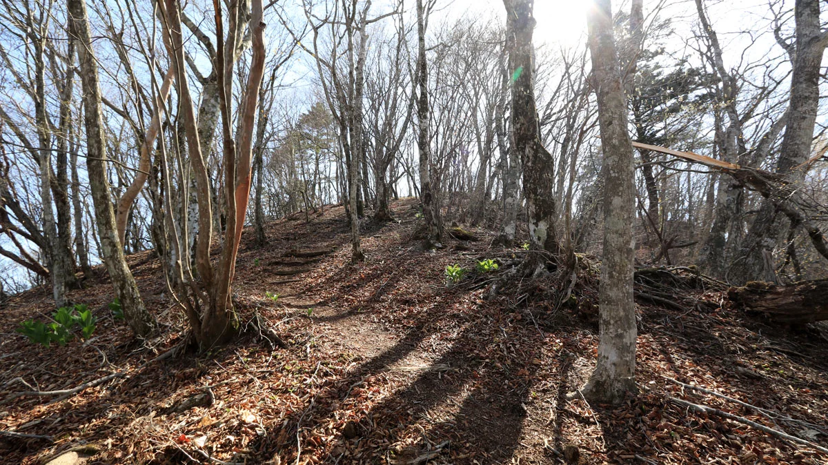 石割山までの登山道