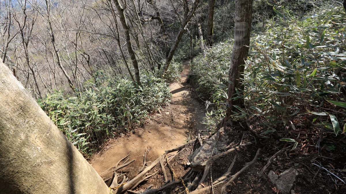 石割神社までの道