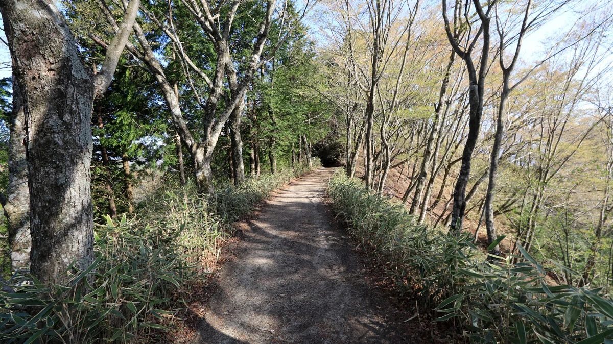 石割神社周辺の道