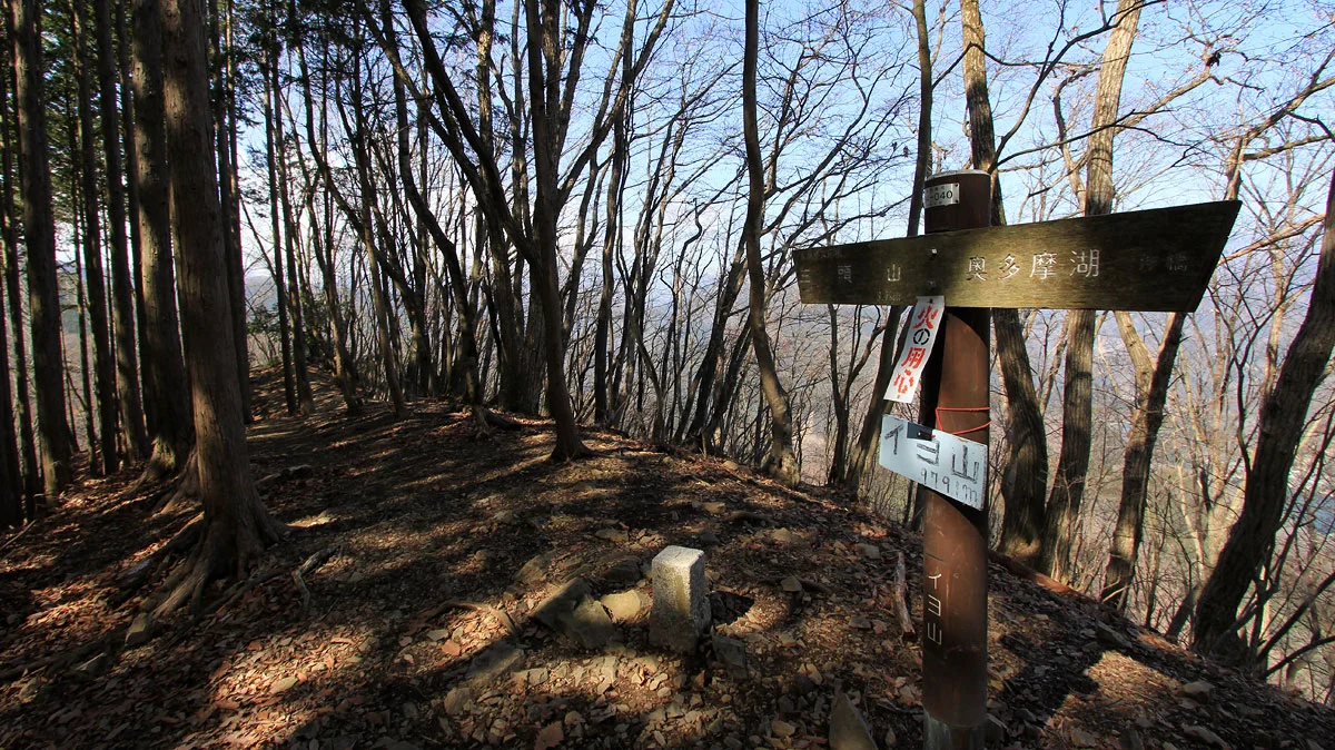 イヨ山の山頂