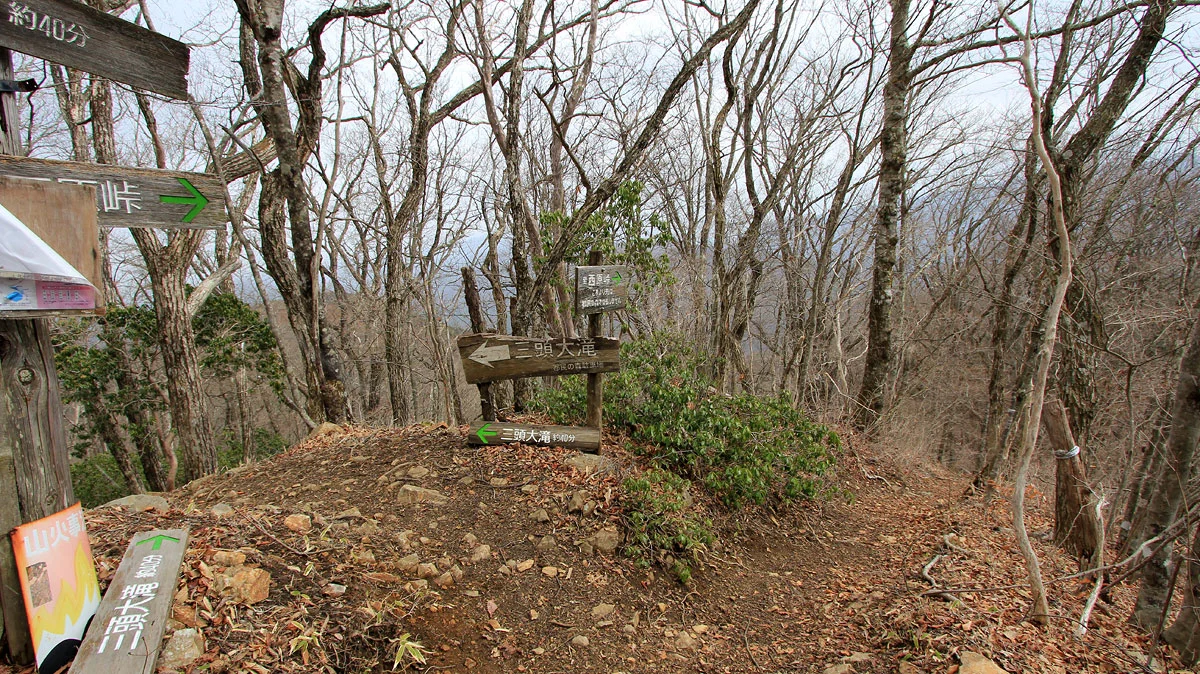 都民の森コースへの分岐