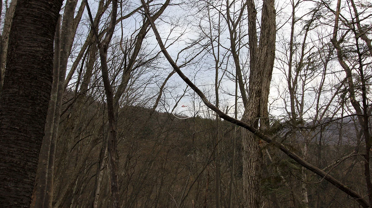 ホバリングしているヘリコプター