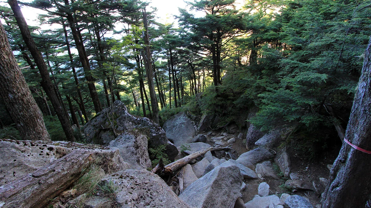 瑞牆山山頂付近の下山道