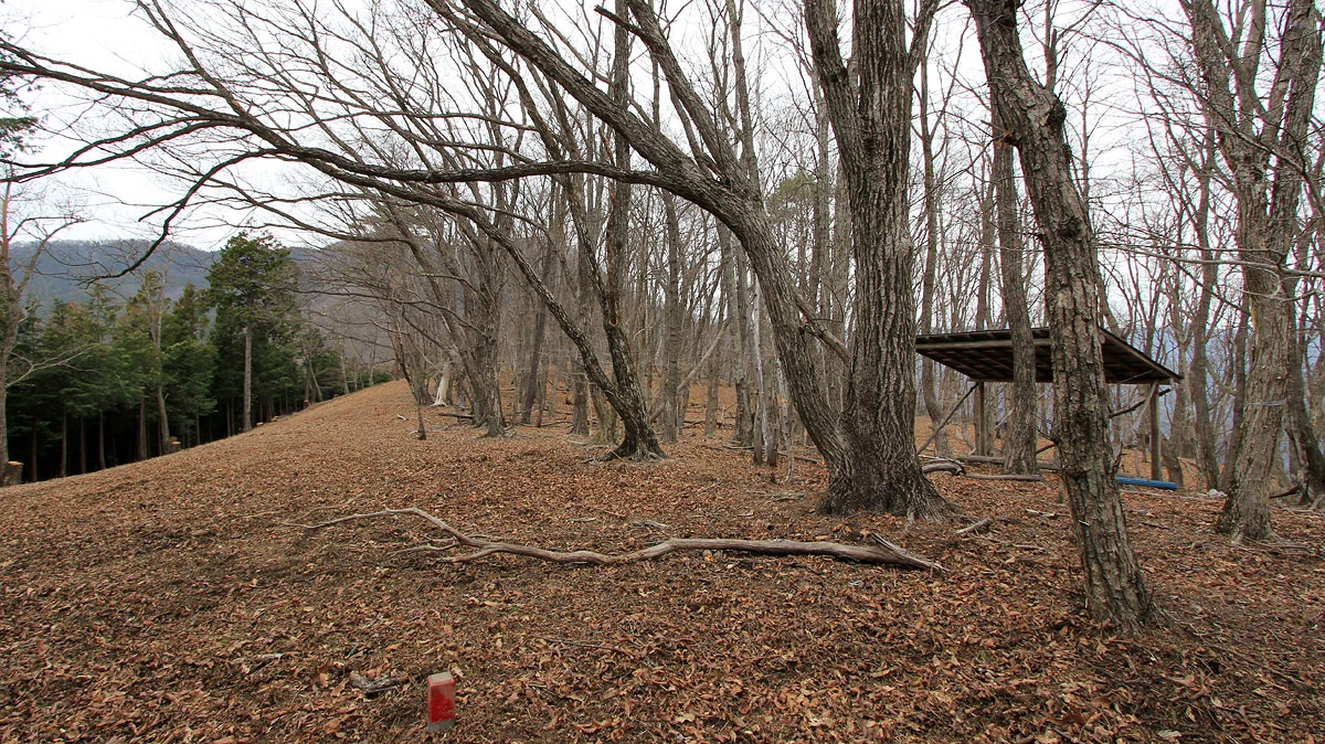 三ノ木戸山に到着