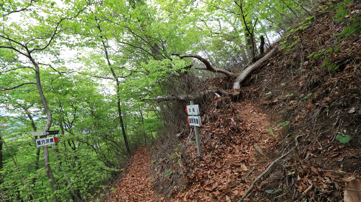 国民宿舎跡への分岐地点