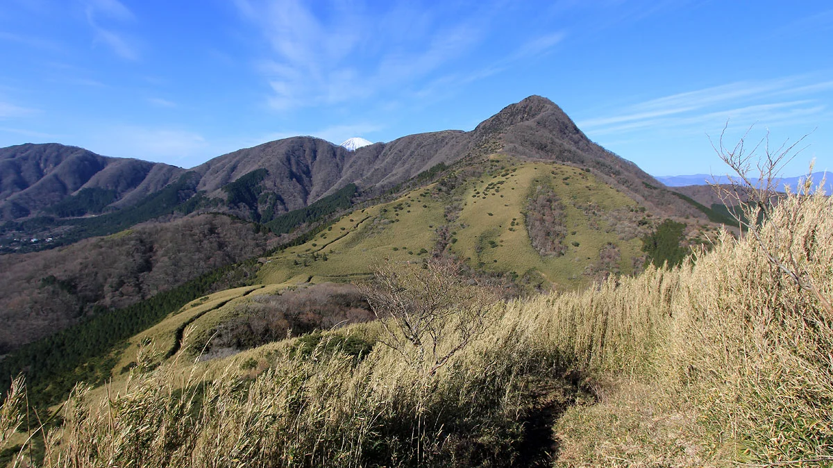 富士山が覗き見